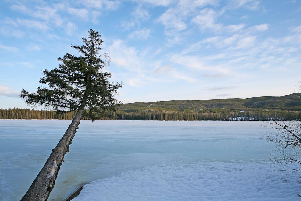 Lac Le Jeune Wilderness Resort Kamloops Esterno foto